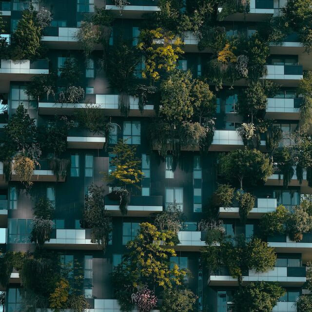 Mit Pflanzen an der Fassade: Steht der Bosco Verticale in Mailand für die Bauwende angesichts der Klimaveränderungen oder für ein „weiter so“ der Baubranche?