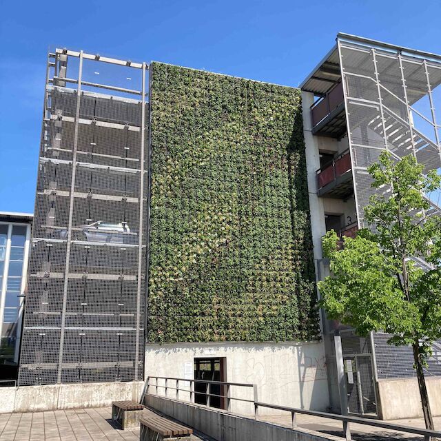 4800 Pflanzen an einer Wand:  Die grüne Fassade am Parkhaus des Bottroper Hauptbahnhofes wertet den Stadtraum mikroklimatisch auf und bietet einen wichtigen Lebensraum für Insekten.