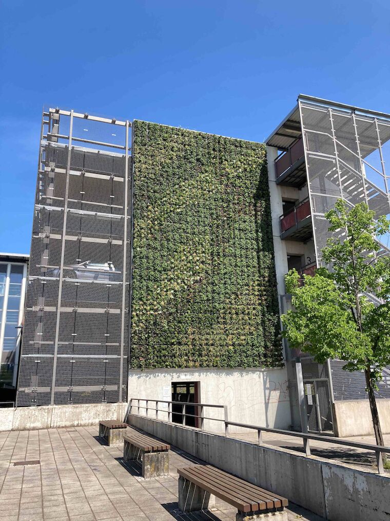 4800 Pflanzen an einer Wand:  Die grüne Fassade am Parkhaus des Bottroper Hauptbahnhofes wertet den Stadtraum mikroklimatisch auf und bietet einen wichtigen Lebensraum für Insekten. Foto: Henrike Abromeit, Stadt Bottrop