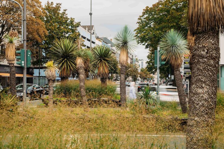 Grün zwischen schlechter Luft und lärmendem Verkehr. Foto: Ravi Sejk, Medienmalocher