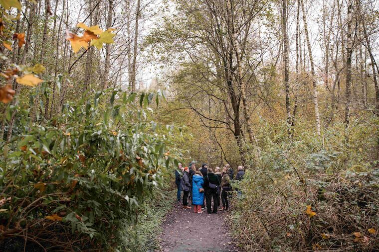 Ab in den Industriewald auf der Halde Rheinelbe in Gelsenkirchen. Foto: Sebastian Becker