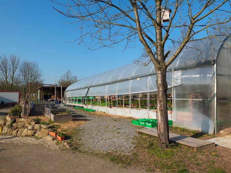 Die Gärtnerei Grünfrau zeigt, wie urbane Landwirtschaft funktioniert. Foto: Annika Stremmer