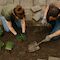 Pflanzen statt Steine: So geht das Abpflastern. Foto: Sora/ Chat GPT