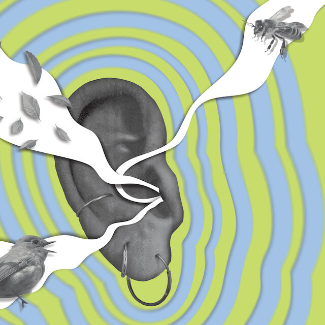 Wer hinhört, hört mehr als nur Geräusche: Vogelgesang, Blätterrauschen und das Summen der Bienen sind Musik für Körper und Geist.