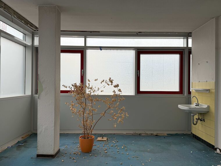 Was ist der Bestand wert – und wie können Materialkreisläufe im Bauwesen tatsächlich geschlossen werden? Damit beschäftigt sich die Winter School in Köln. Foto: Conrad Risch